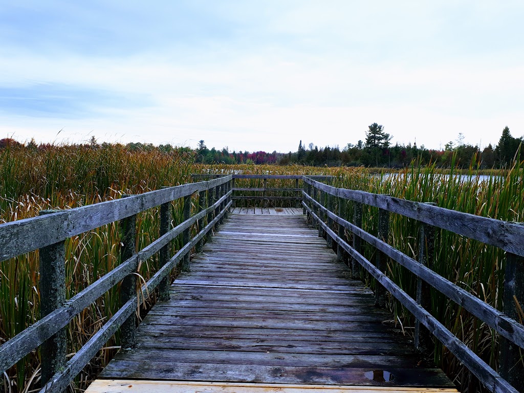 Sarsaparilla Trail | Old Richmond Rd, Nepean, ON K2H 8Y3, Canada