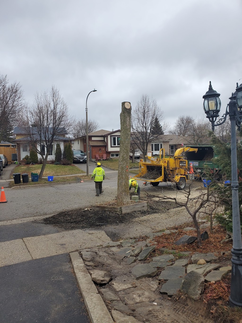 Davey Tree Expert Co. of Canada, Limited | 14 Riverview Pl #2, Kitchener, ON N2B 3X8, Canada | Phone: (519) 570-9341