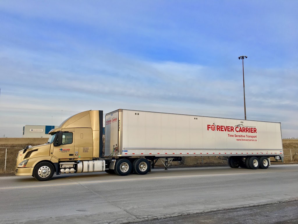 Forever Carrier | 5225 Orbitor Dr Unit-13, Mississauga, ON L4W 4Y8, Canada | Phone: (905) 455-1114