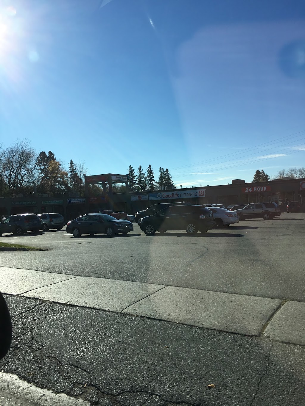 Guelph Homeopathic | 245 Edinburgh Rd S, Guelph, ON N1G 2J6, Canada | Phone: (519) 821-4145