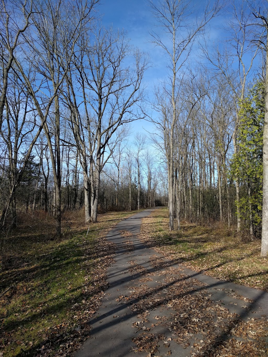 Tyendinaga Recreation Complex | 363 McFarlane Rd, Shannonville, ON K0K 3A0, Canada | Phone: (613) 396-1944