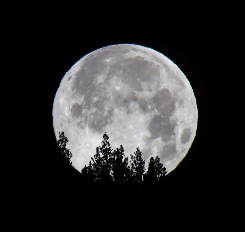 Full Moon Productions | 612 5th Ave, New Westminster, BC V3M 1X5, Canada | Phone: (236) 878-8046