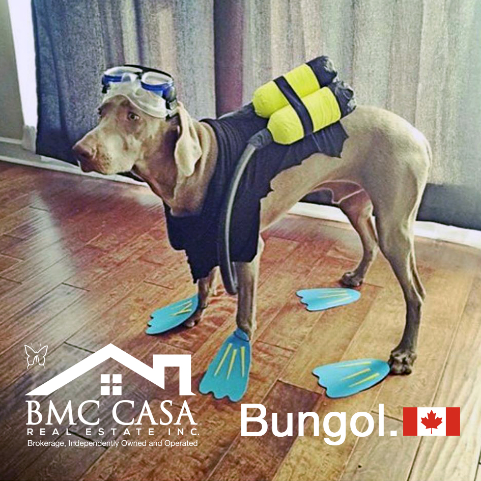 BMC CASA Real Estate Inc. Brokerage | 112 Main St S Suite 204, Georgetown, ON L7G 3E4, Canada | Phone: (905) 873-0123