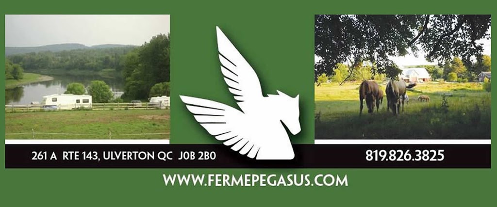 Camping Farm Pégasus S.e.n.c. | 261a Route 143, Ulverton, QC J0B 2B0, Canada | Phone: (819) 826-3825