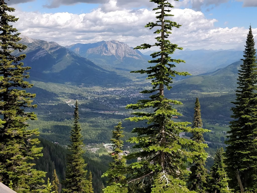 Lost Boys Cafe | Timber Chair, Fernie, BC V0B 1M6, Canada | Phone: (250) 423-4655