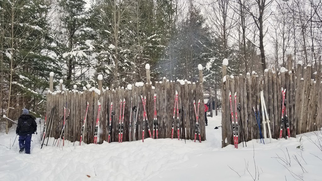 Christie Lake Kids | 1264 Althorpe Rd, Perth, ON K7H 3C9, Canada | Phone: (613) 267-4998