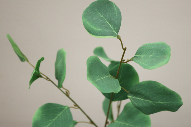 Green Import Limited | 396 Watline Ave, Mississauga, ON L4Z 1X2, Canada | Phone: (905) 502-9955