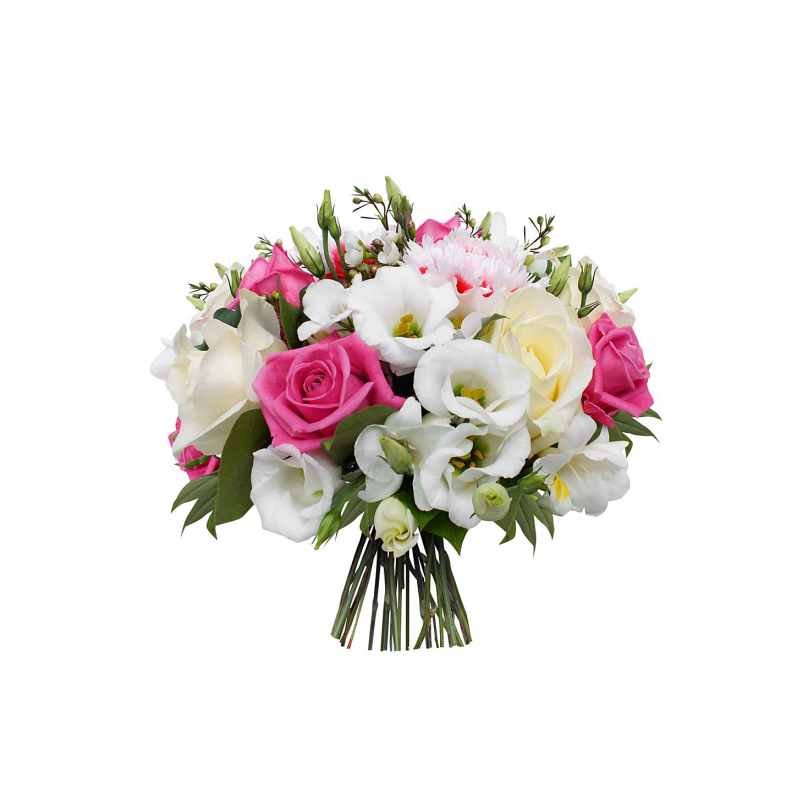 Sapin Fleuriste Enr | 5255 Bd Guillaume-Couture, Lévis, QC G6V 4Z4, Canada | Phone: (418) 833-1500