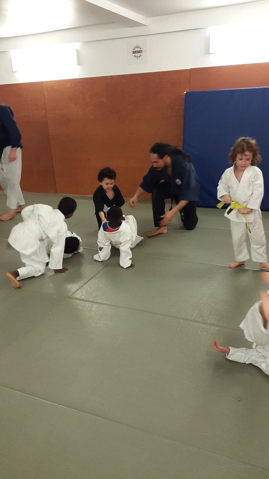 Aiki ju-jitsu Nintai Laval | 2921a Bd de la Concorde E, Laval, QC H7E 2B5, Canada | Phone: (438) 220-4265
