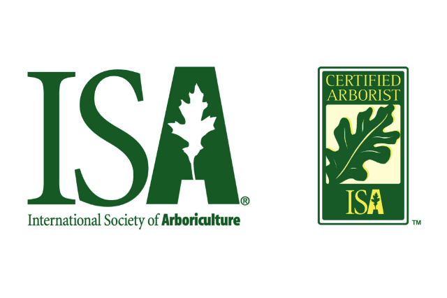 Hughes Tree Service | 12 Shelley Dr, Little Britain, ON K0M 2C0, Canada | Phone: (705) 340-2676