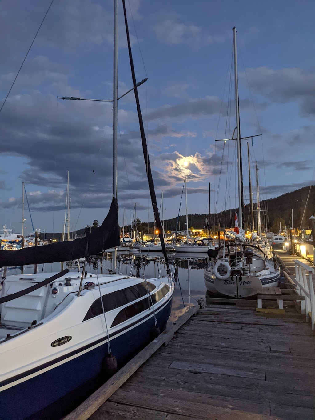 Ganges Marina | 161 Lower Ganges Rd, Salt Spring Island, BC V8K 2T2, Canada | Phone: (250) 537-5242