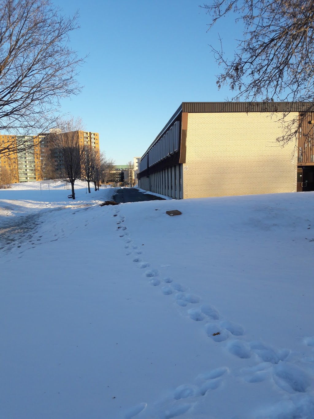 Bayshore Public School | 145 Woodridge Crescent, Nepean, ON K2B 7T2, Canada | Phone: (613) 828-8698