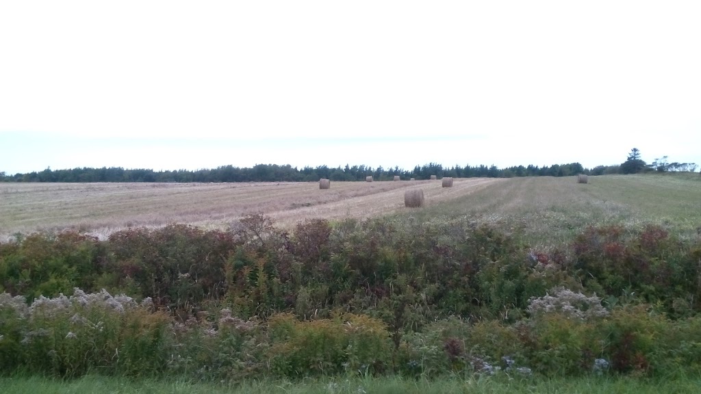 SUNSHINE FARM | 3027 Cape Bear Rd, Murray Harbour, PE C0A 1V0, Canada | Phone: (902) 846-9142