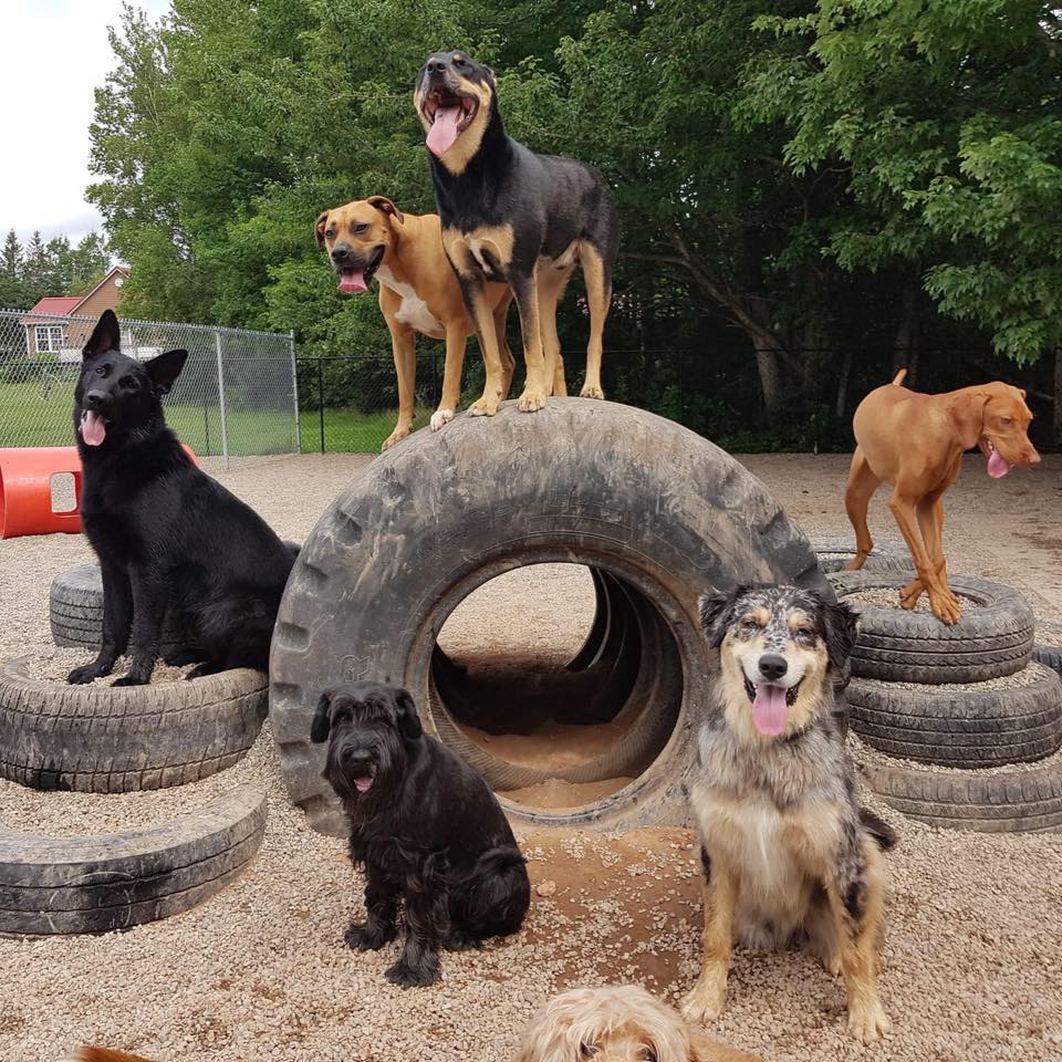 Mels Waggin Tail Inn | 3182 Rte 132, Scoudouc, NB E4P 3S5, Canada | Phone: (506) 533-2275