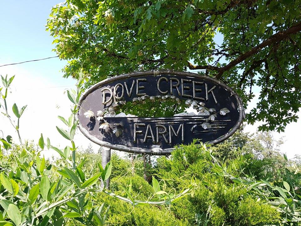 The Haven at Dove Creek | 4639 Dove Creek Rd, Courtenay, BC V9J 1P4, Canada | Phone: (250) 702-4602