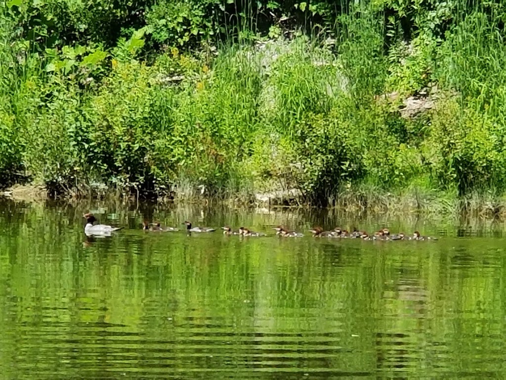 Eighteen Mile Creek-Lake | 6449 Lake Shore Rd #6445, Derby, NY 14047, USA