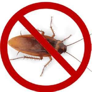 Ace Pest Control Ltd | 17800 59A Ave, Surrey, BC V3S 1R1, Canada | Phone: (778) 872-2223