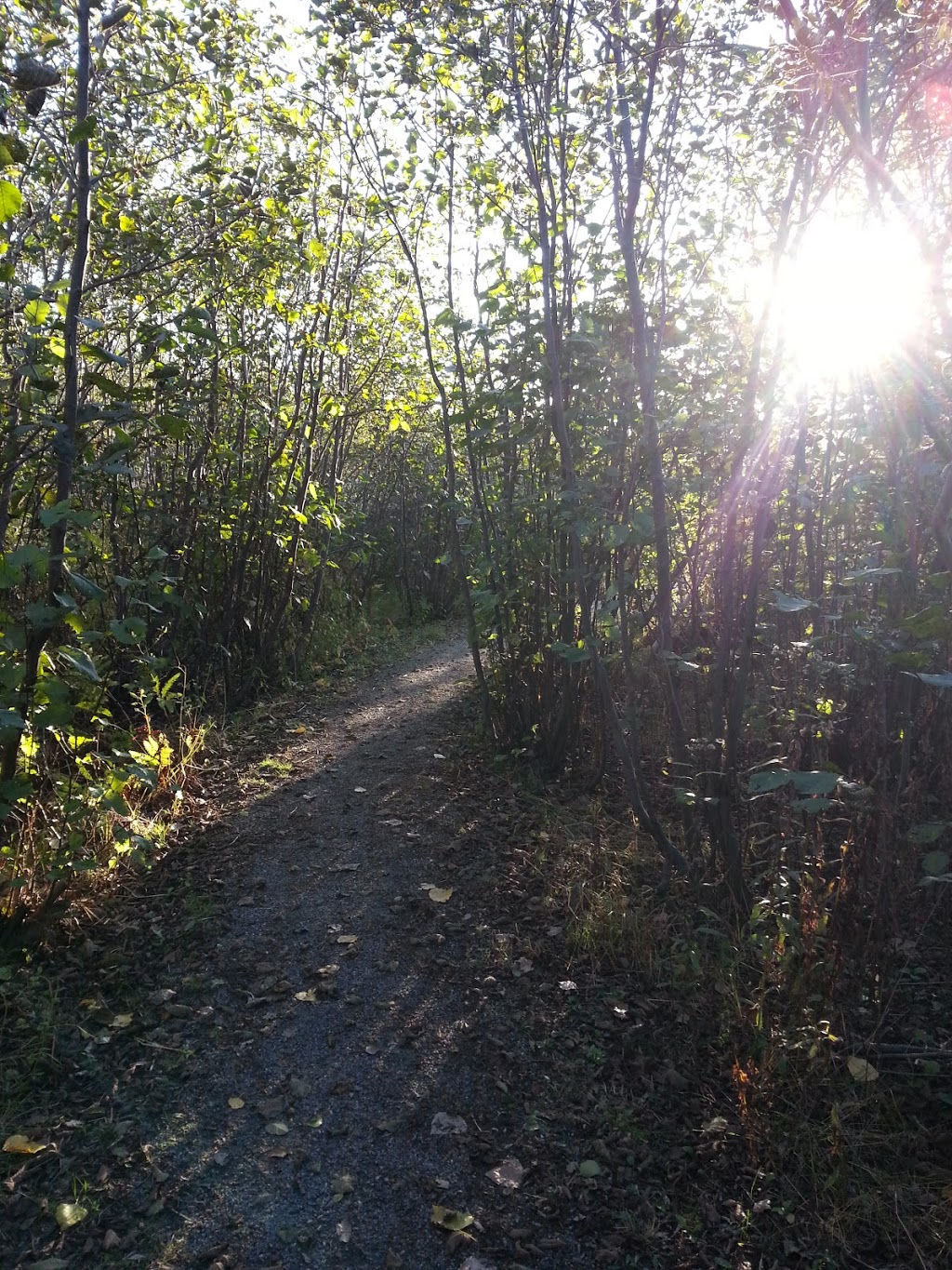 Jean Tellier Trail | Sudbury, ON P0M 1M0, Canada | Phone: (705) 674-4455 ext. 4603