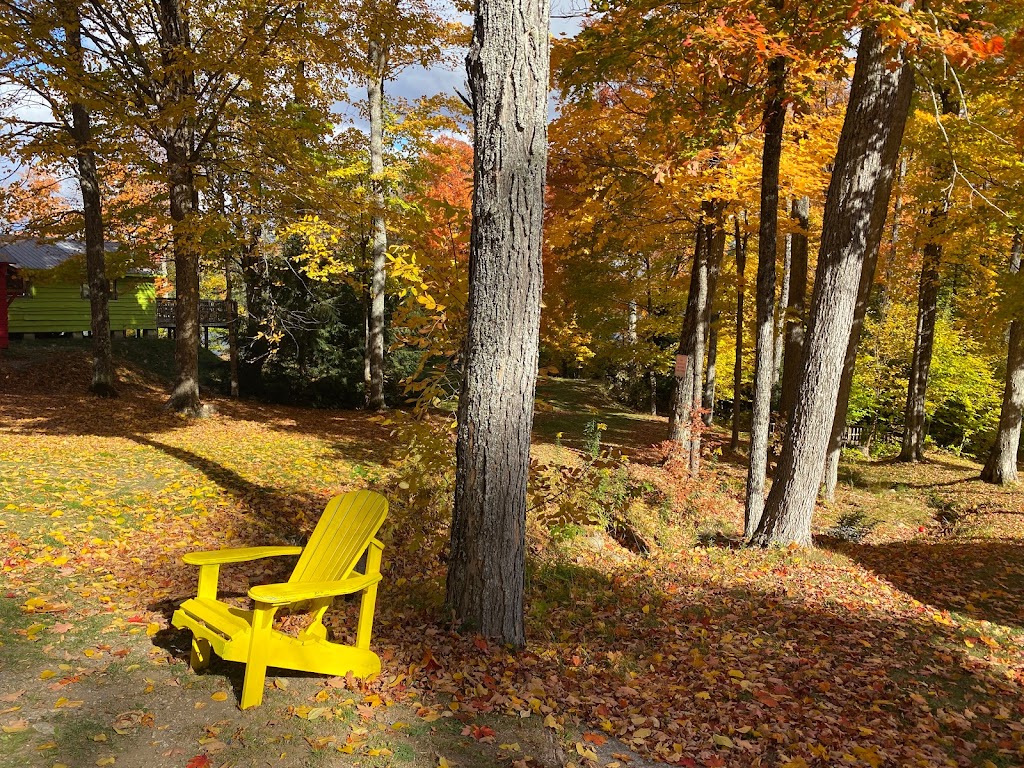 Highland Grove Camping by the Lake | 7052 Loop Rd, Highland Grove, ON K0L 2A0, Canada | Phone: (647) 946-4949