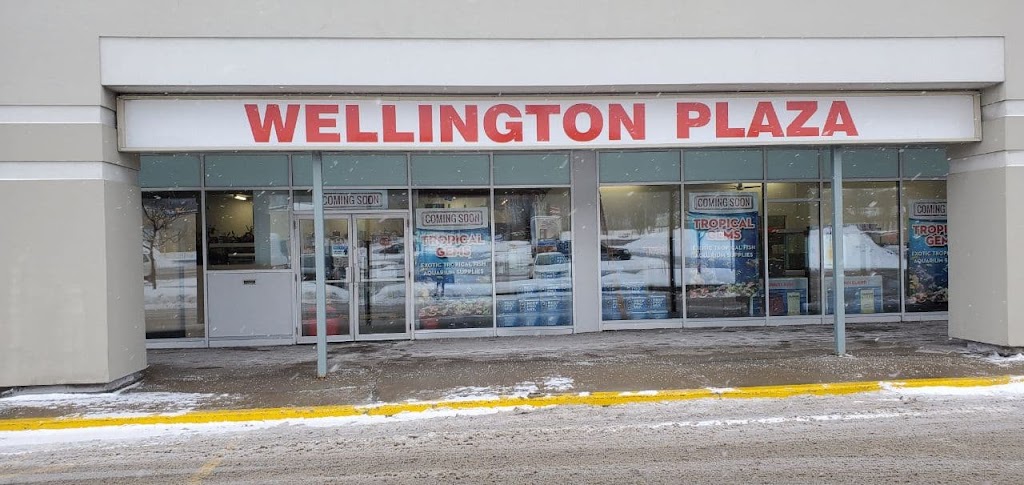 Tropical Gems | 165 Wellington St W Units 5&6, Barrie, ON L4N 1L7, Canada | Phone: (705) 999-9600