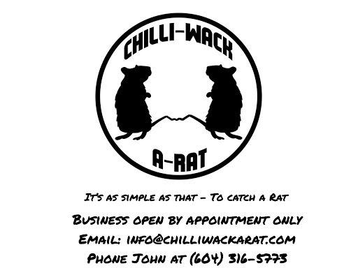 Chilliwack a Rat | 45167 Watson Rd, Chilliwack, BC V2R 2G4, Canada | Phone: (604) 316-5773