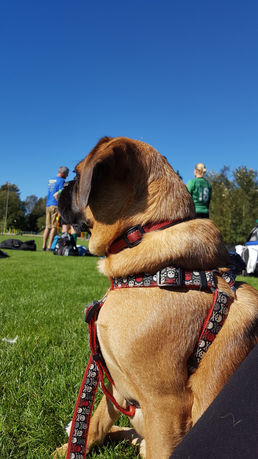 Tzeachten Sportsfield | 46770 Bailey Rd, Chilliwack, BC V2R 5M7, Canada | Phone: (604) 858-3888