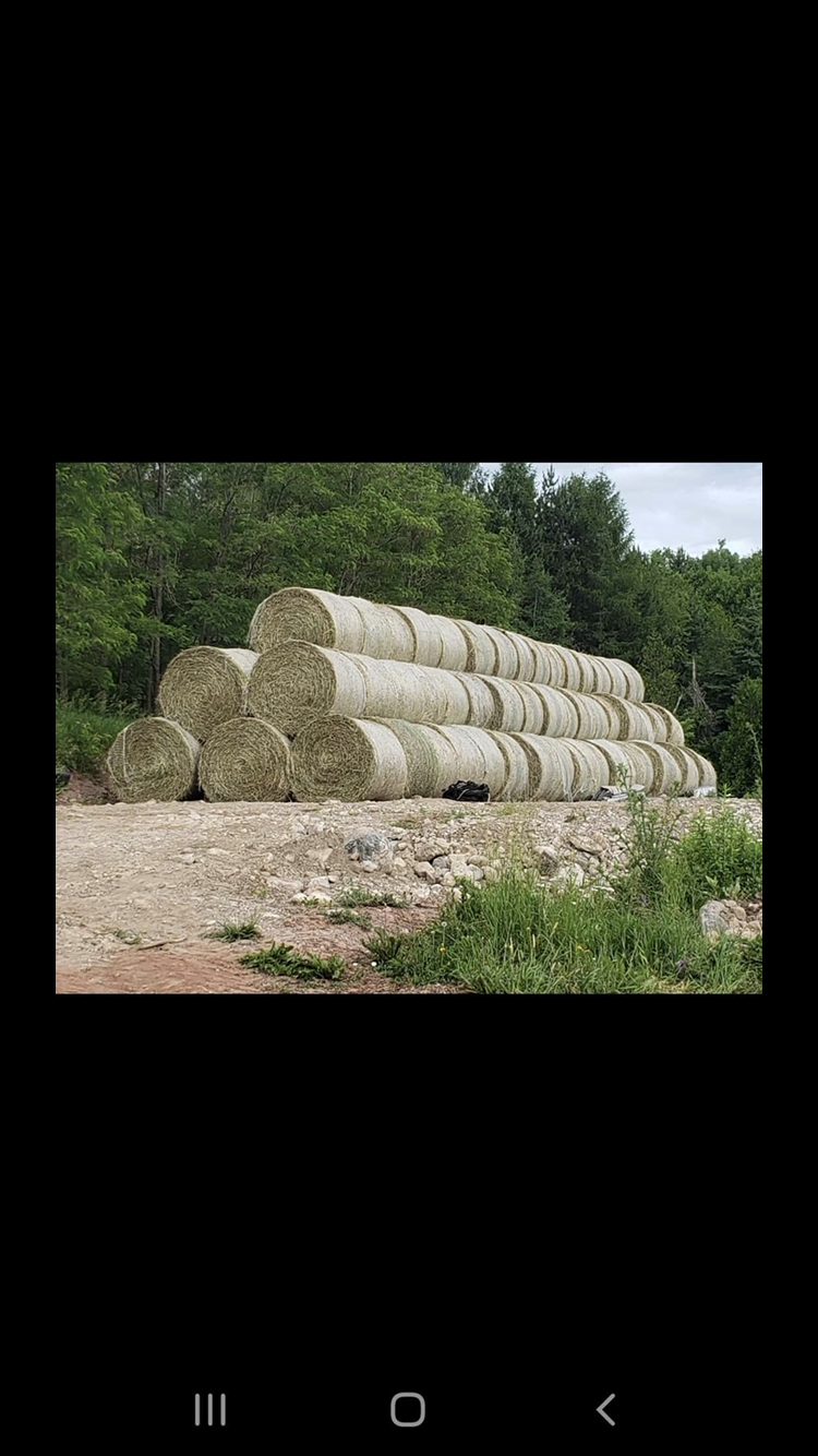 MadocCreek Farm | 642 Woods Rd, Madoc, ON K0K 2K0, Canada | Phone: (613) 403-4886