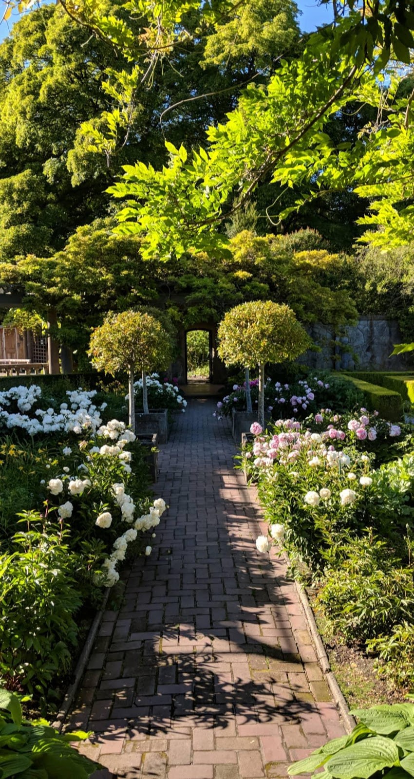 Italian Garden | 30 College Dr, Victoria, BC V9C 1H9, Canada | Phone: (250) 391-2666