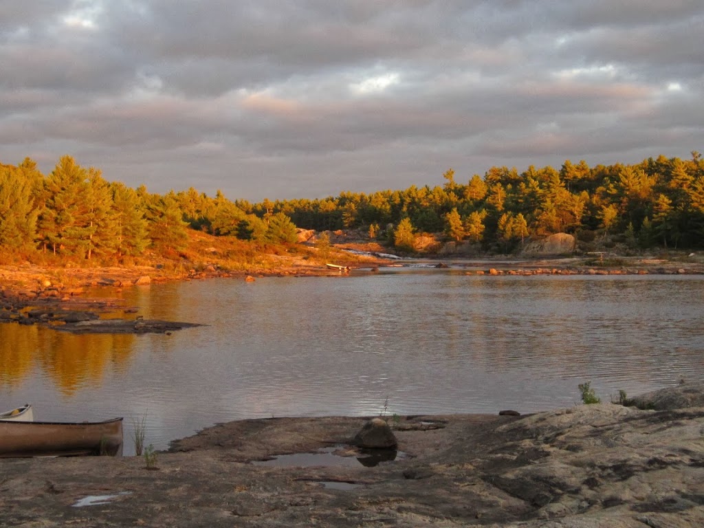 Dr. Wayne Coghlan: Counselling Psychology | 3986 Pondview Way, Mississauga, ON L5N 8J8, Canada | Phone: (705) 446-7003
