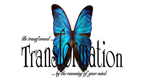 John Tozeland - Trance-Action Consultants | 202-1345 Pembina Hwy, Winnipeg, MB R3T 3B6, Canada | Phone: (204) 229-5734