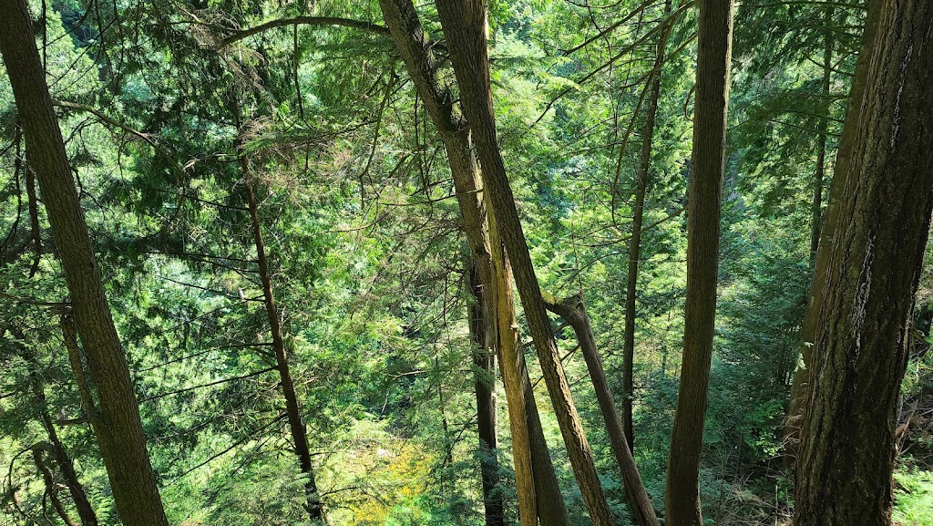 Canyon Manor | 3599 Capilano Rd, North Vancouver, BC V7R 4H9, Canada | Phone: (604) 987-7813