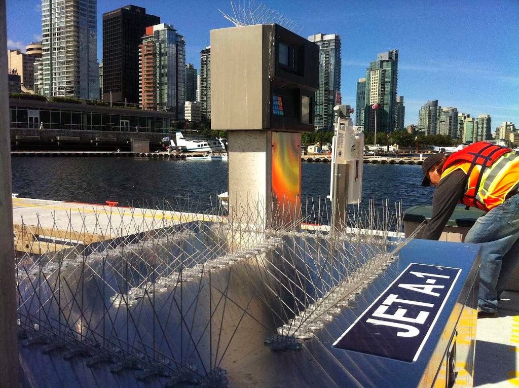 Arman Expert | 3342 Clive Ave, Vancouver, BC V5R 4V5, Canada | Phone: (604) 202-7700