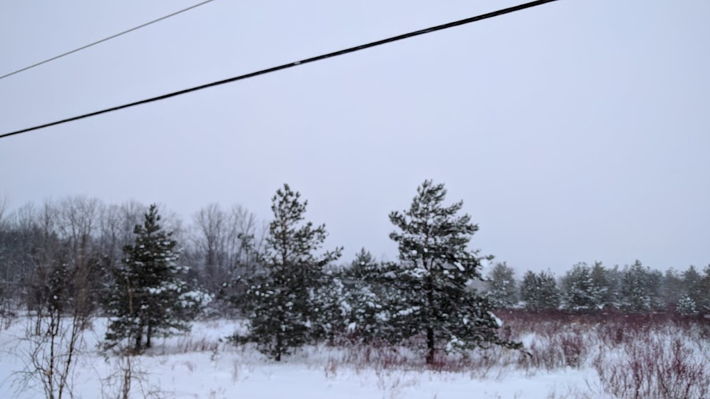 Blue Mountain Golf | 706 Tenth Line, Collingwood, ON L9Y 5H4, Canada | Phone: (705) 445-3911