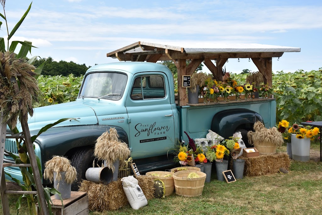 The Sunflower Farm | 24430 Sideroad 17, Side Rd 17, Beaverton, ON L0K 1A0, Canada | Phone: (416) 316-9543