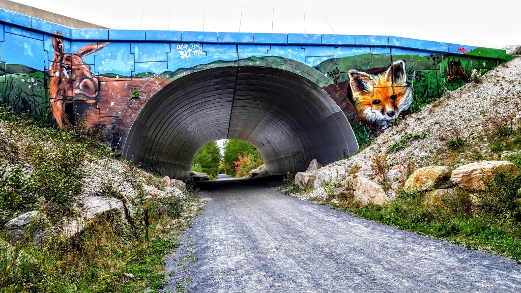 The Bluff Wilderness Hiking Trail | 2890 St Margarets Bay Rd, Timberlea, NS B3T 1H4, Canada | Phone: (902) 876-7377