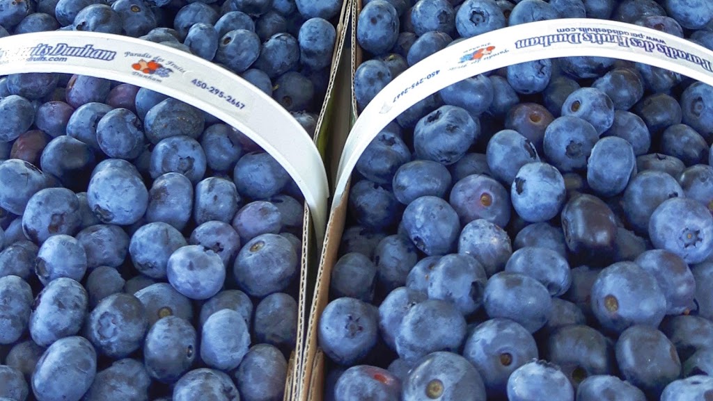Paradis des Fruits Dunham | 519 Rue Bruce, Dunham, QC J0E 1M0, Canada | Phone: (450) 295-2667