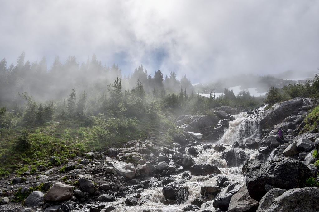 Heliotrope Ridge Trailhead | Deming, WA 98244, USA | Phone: (360) 856-5700