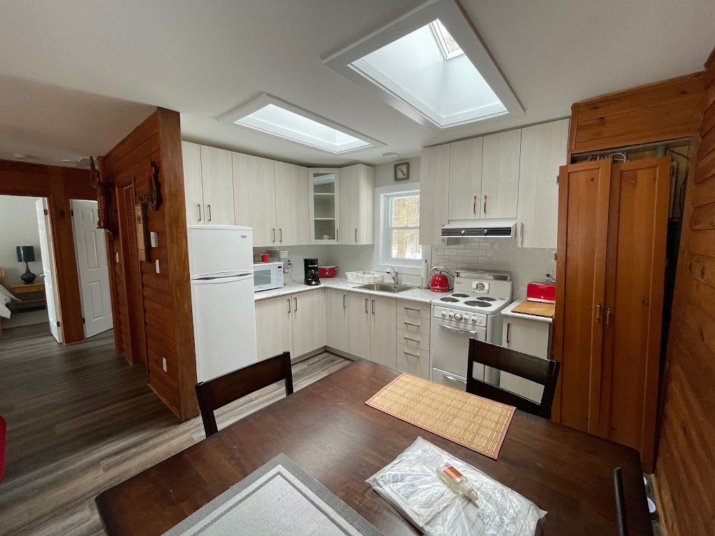 Dependable Handyman | 53 Mistleflower Ct, Richmond Hill, ON L4E 3T9, Canada | Phone: (647) 987-8276