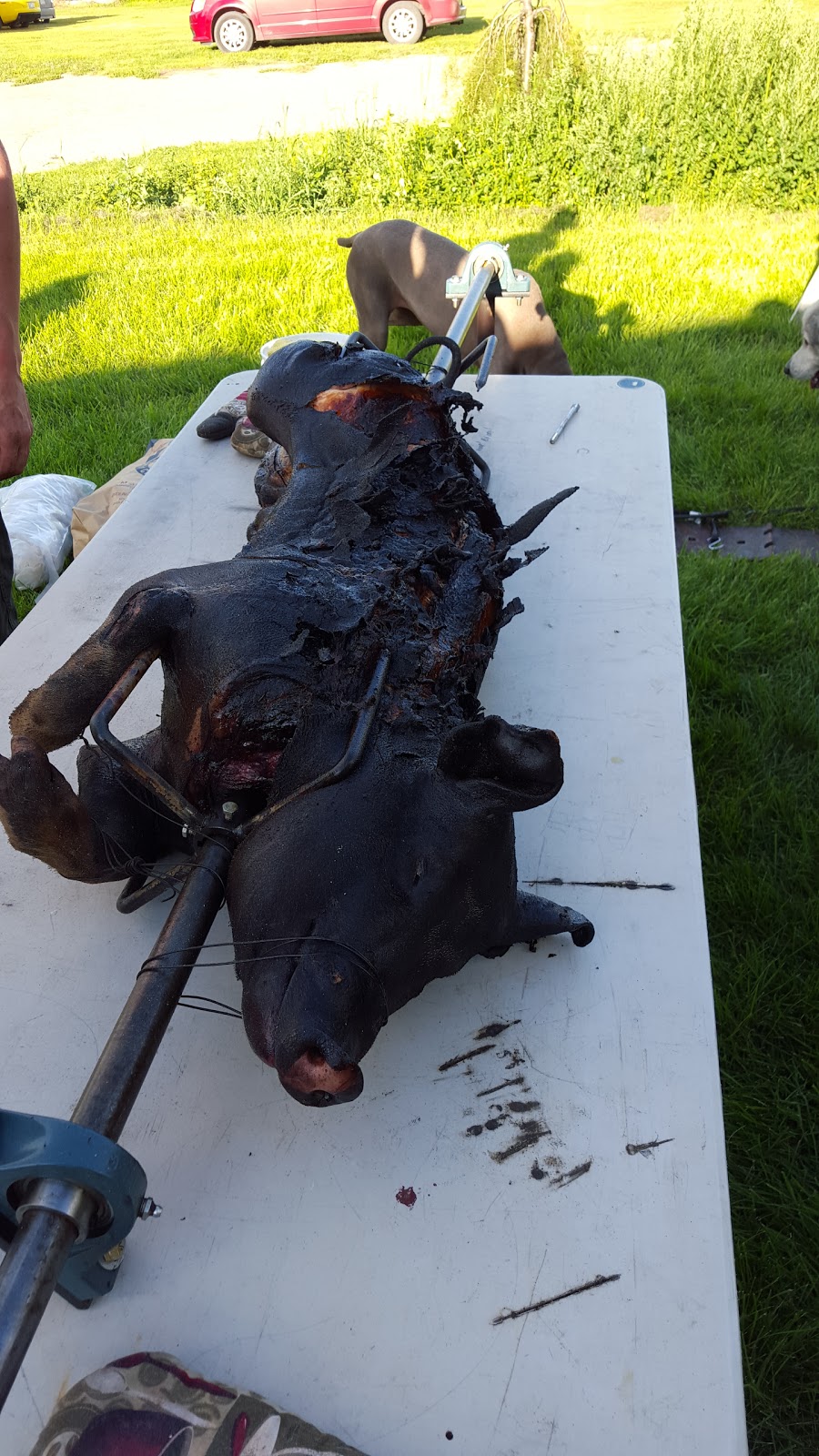 4K Farms Butchery Inc. | Township Rd 302, Swalwell, AB T0M 1Y0, Canada | Phone: (403) 397-3236