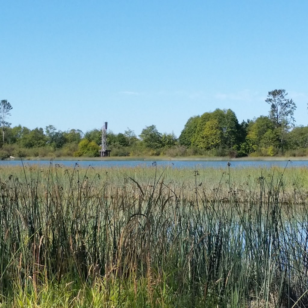 South Arm Marshes Wildlife Management Area | 5011 River Rd, Delta, BC V4K 1S7, Canada
