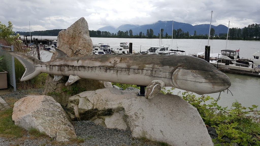 Jack Poole Harbourside Park | 33363-33389 Harbour Ave, Mission, BC V2V 2W3, Canada