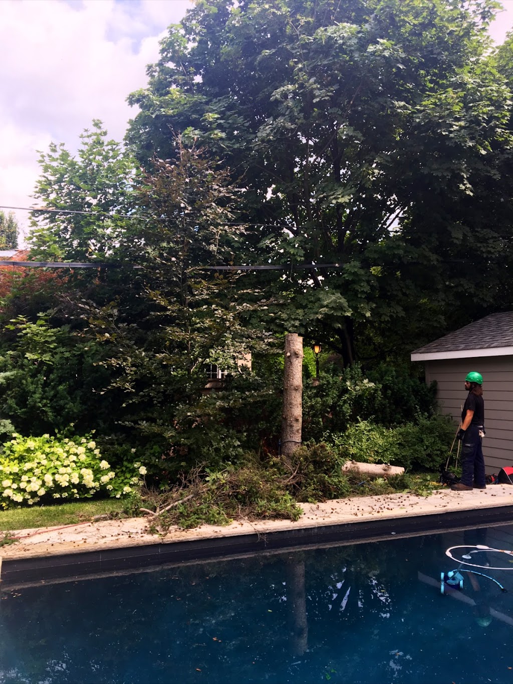 Columbus Tree Services | 20 Columbus Rd W, Oshawa, ON L1G 0G6, Canada | Phone: (416) 670-9851