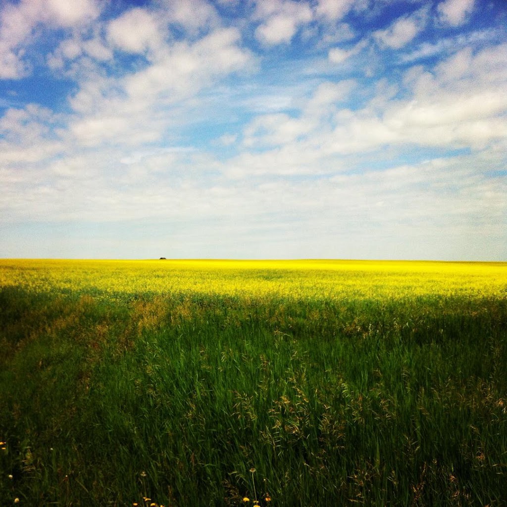Mossleigh Inn | 813 AB-24, Mossleigh, AB T0L 1P0, Canada | Phone: (403) 534-2444