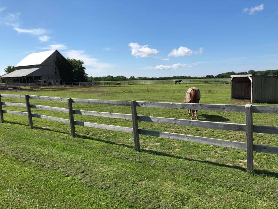 BelleVue Stables | 40 Concession Rd 15 E, Township Of Tiny, ON L9M 0N6, Canada | Phone: (705) 427-4087