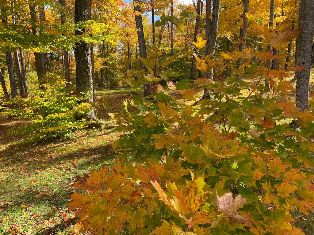 Highland Grove Camping by the Lake | 7052 Loop Rd, Highland Grove, ON K0L 2A0, Canada | Phone: (647) 946-4949