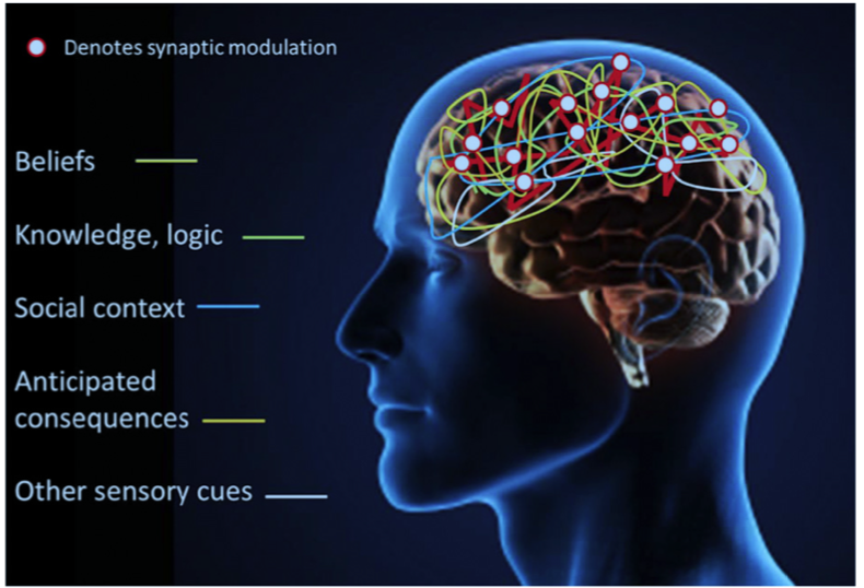 Mobile Massage & Brain Pain Training | 2240 Nordic Dr Unit 3, Whistler, BC V8E 0P3, Canada | Phone: (604) 892-4062