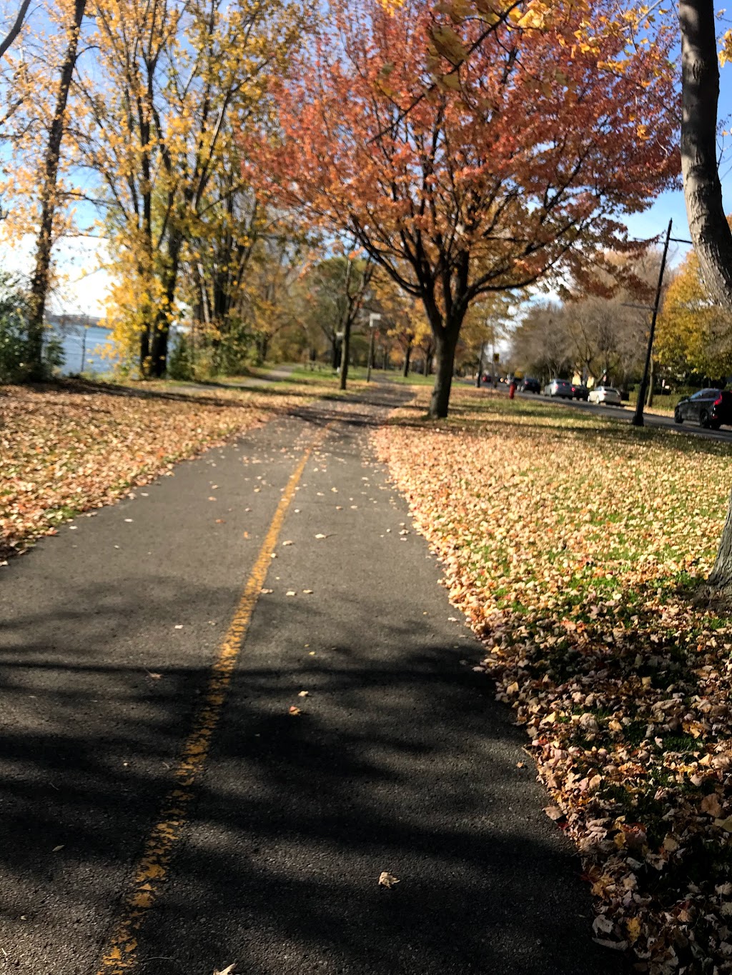 Lacharité Park | Rue Centrale, Montréal, QC H8P, Canada