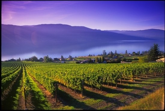 AppleGate Auto | 9855 BC-97, Lake Country, BC V4V 1V7, Canada | Phone: (250) 766-5694