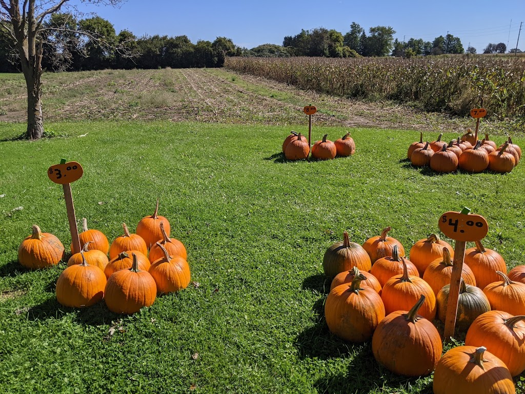 Raevan Farms | 1944 Bradley Ave, London, ON N6M 1E6, Canada | Phone: (519) 451-1281