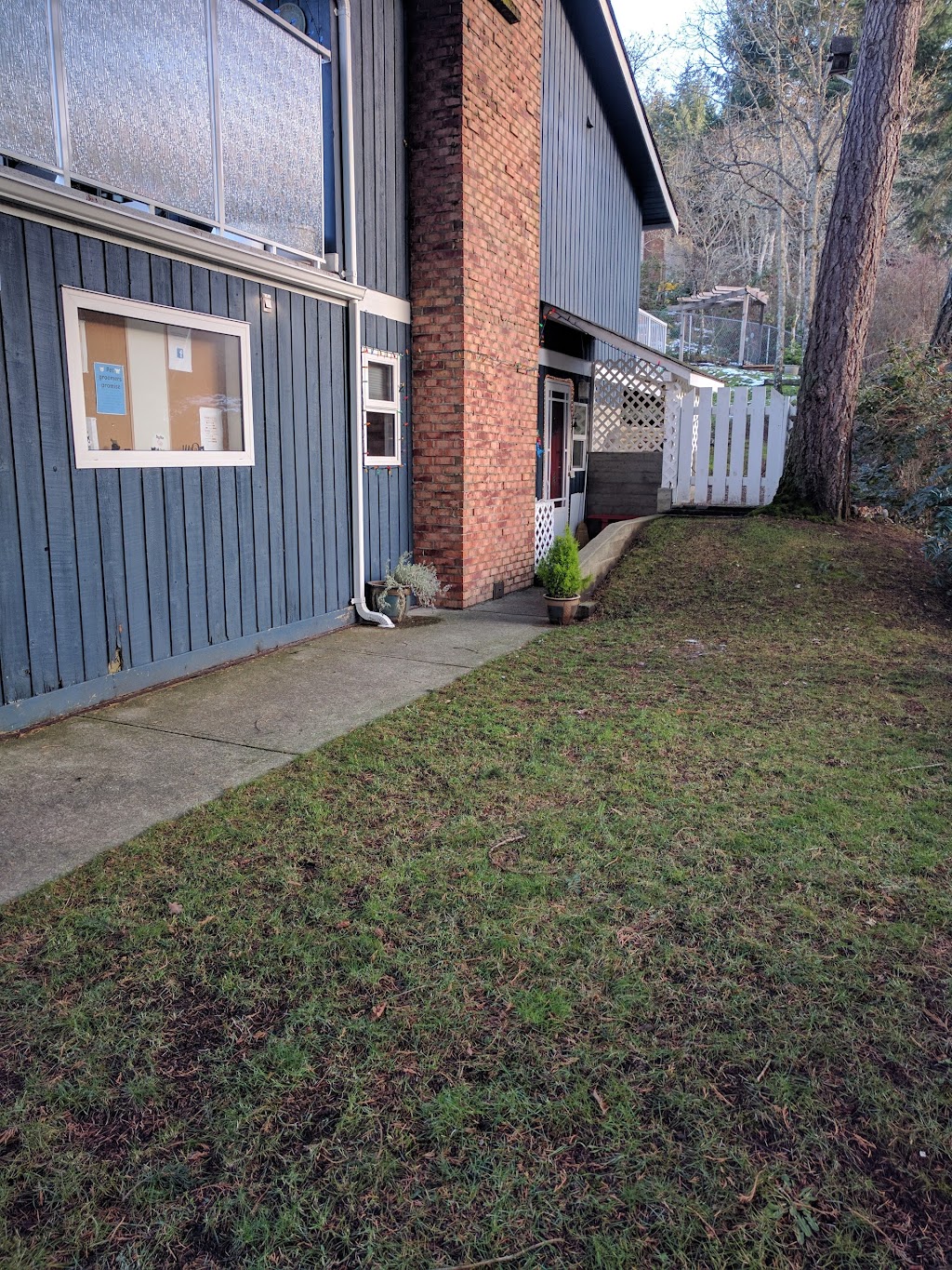 Danielles Pet Grooming | 1448 Belcarra Rd #1448, Duncan, BC V9L 5P2, Canada | Phone: (250) 746-0052